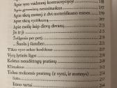 A.zalatorienė - šimtas laipsnių - nuotraukos Nr. 6