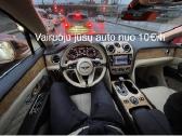 Taxi,blaivus vairuotojas,jūsų auto parvairavimas - nuotraukos Nr. 5