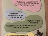 Keturmečių užduotys - nuotraukos Nr. 2