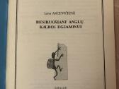 Besiruošiant anglų kalbos egzaminui - nuotraukos Nr. 2