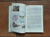 Zoologija 7-8 klasei 1987 metai - nuotraukos Nr. 3