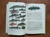 Zoologija 7-8 klasei 1987 metai - nuotraukos Nr. 5