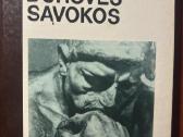 Knyga Dorovės sąvoka/akiratis- Žemaitis Vincentas