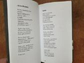 Raimonda Ruzgaitė "Nutrūkusios eilės" 2023 metai - nuotraukos Nr. 7