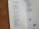 Raimonda Ruzgaitė "Nutrūkusios eilės" 2023 metai - nuotraukos Nr. 8