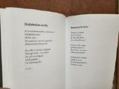 Raimonda Ruzgaitė "Nutrūkusios eilės" 2023 metai - nuotraukos Nr. 10