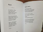 Raimonda Ruzgaitė "Nutrūkusios eilės" 2023 metai - nuotraukos Nr. 11