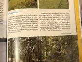 Ignalina - sportas ir turizmas - nuotraukos Nr. 12