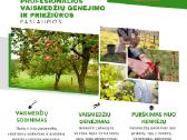 Vejos priežiūra, aplinkos tvarkymas - nuotraukos Nr. 5