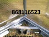 Šiltnamis 3m pločio. Profilis 40x20mm - nuotraukos Nr. 7