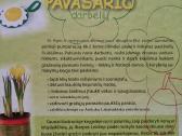 100 pavasario darbelių - nuotraukos Nr. 8