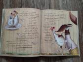 Gyvūnai be zoologijos sodo - nuotraukos Nr. 7
