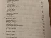 Sėkmingiausios Lietuvos asmenybės pasaulyje - nuotraukos Nr. 10