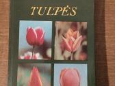 "Tulpės" . Angelė Baliūnienė ir Regina Juodkaitė