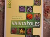 Vaistažolės