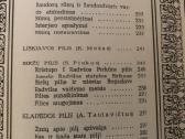 Lietuvos pilys - nuotraukos Nr. 7