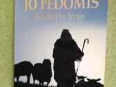 Biografinės, istorinės, politinės,religinės knygos - nuotraukos Nr. 18