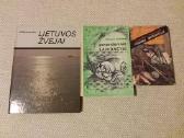 Kasetę dainuoja Ala Pugačiova - nuotraukos Nr. 29