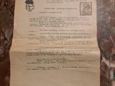 Deputatas