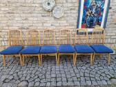 Vintažinės mid century "Casala" bukmedžio kėdės