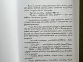 Tolimosios atodangos. J. Laurinavičius - nuotraukos Nr. 3