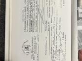 Nepriklausomybės Akto signataras D. Malinauskas - nuotraukos Nr. 6