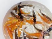 Koi karpis