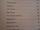 Lietuvių literatūros konspektas abiturientui 12 kl - nuotraukos Nr. 2