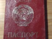 Sovietinis pasas Kaišiadorių r. Kibičių k. - nuotraukos Nr. 3