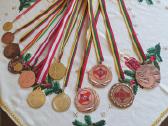 Kolekcionavimas,medaliai - nuotraukos Nr. 2