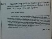 Klasikinio roko grupės - " Kolonėlių degintojai ". - nuotraukos Nr. 30