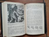 R. Flintas "Žemės istorija" 1985 metai - nuotraukos Nr. 6