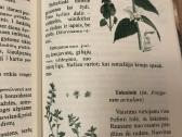 Mamos sveikatos knygelė - nuotraukos Nr. 6