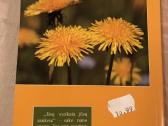 Mamos sveikatos knygelė - nuotraukos Nr. 7