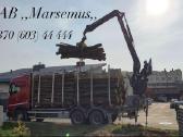 Beržo malkos rąstais su pristatymu – tik 50eur/m3 - nuotraukos Nr. 2