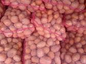 Maistines bulves.