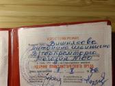 Udarnik ženkliuko pažymėjimas 1976 - nuotraukos Nr. 2
