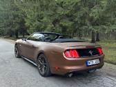 2016 mustangas - nuotraukos Nr. 6