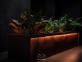 Rūdinto metalo corten vazonas - nuotraukos Nr. 8
