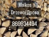 Malkos Vilnius - nuotraukos Nr. 2