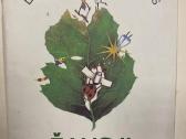 Senos gražios pasakos vaikams - nuotraukos Nr. 3