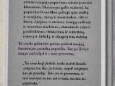 Popiežius Pranciškus savais žodžiais 2014 m. - nuotraukos Nr. 3