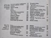 -Pasaulio religijos populiarus žinynas - nuotraukos Nr. 8