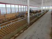 Veno avininkystės įranga - nuotraukos Nr. 18