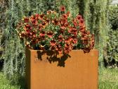 Corten plieno vazonai - nuotraukos Nr. 3