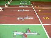 Lengvosios atletikos įranga - nuotraukos Nr. 2