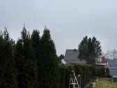 Sodo vejos pjovimas. Apleistų sklypu tvarkymas! - nuotraukos Nr. 29