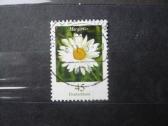 2005 Flora