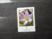 2005 m. galutinis leidimas – Crocus Mhn