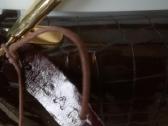 Picard rankine per peti - nuotraukos Nr. 7